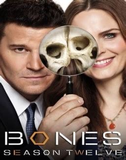 bones temporada 12 ver capitulos|bones temporada 8 temporada 16.